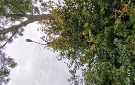 MIAS Bogdalec 2022 3