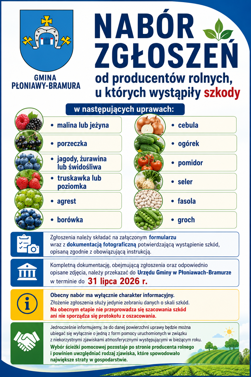Plakat informacyjny Gminy Płoniawy-Bramura z herbem gminy i nagłówkiem „Nabór zgłoszeń od producentów rolnych, u których wystąpiły szkody”. Plakat informuje o możliwości zgłaszania szkód w uprawach: maliny i jeżyny, porzeczki, jagód, żurawiny i świdośliwy