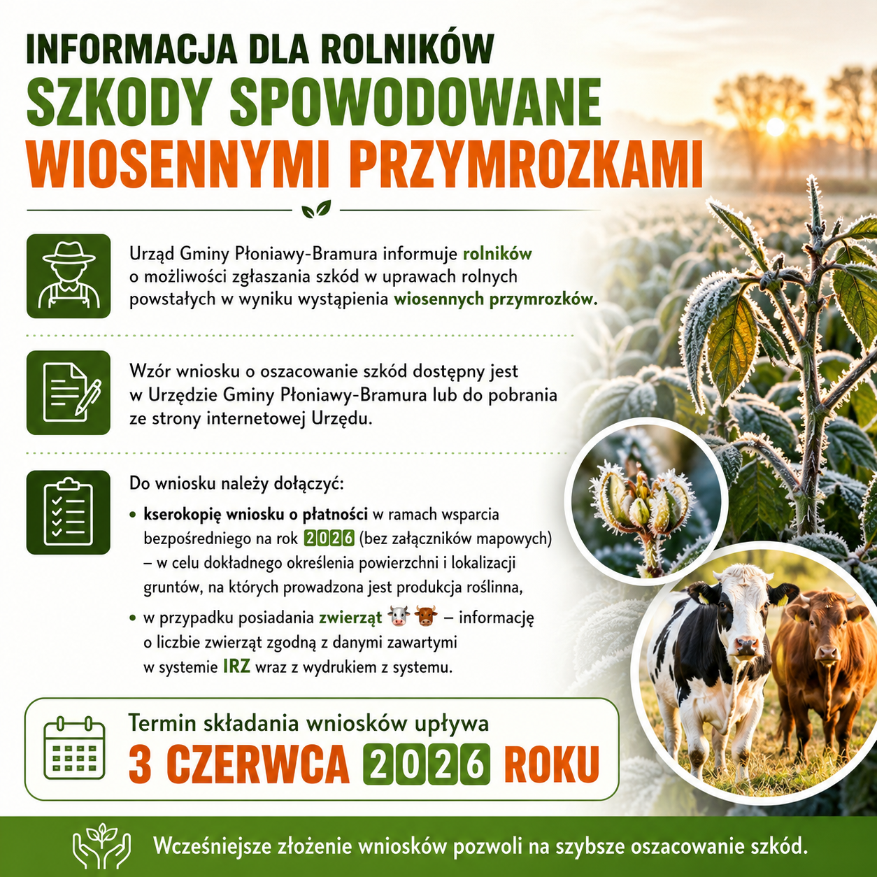 Przymrozki wiosenne - wnioski o&nbsp;oszacowanie