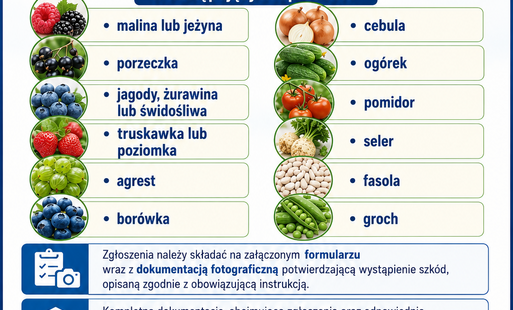 Plakat informacyjny Gminy Płoniawy-Bramura z herbem gminy i nagłówkiem „Nabór zgłoszeń od producentów rolnych, u których wystąpiły szkody”. Plakat informuje o możliwości zgłaszania szkód w uprawach: maliny i jeżyny, porzeczki, jagód, żurawiny i świdośliwy