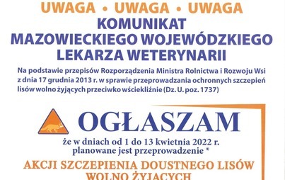 Zdjęcie do UWAGA - Szczepienie lis&oacute;w