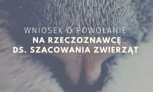 Zdjęcie artykułu z dnia 23-04-2025