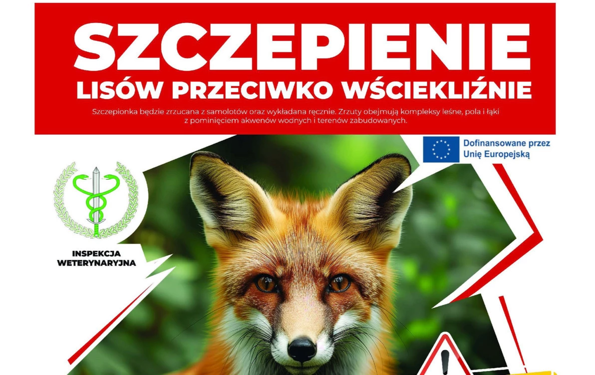 Zdjęcie do Wiosenna akcja szczepienia lis&oacute;w przeciwko wściekliźnie 27...